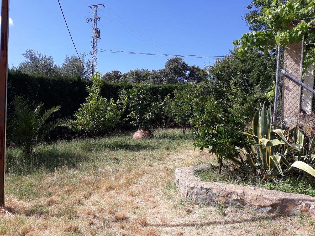 Alojamientos Cabezo Del Gato Αραθένα Εξωτερικό φωτογραφία