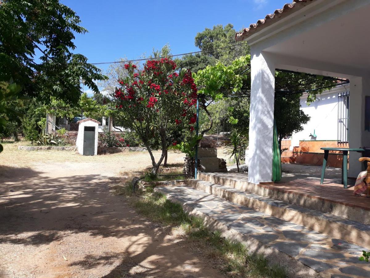 Alojamientos Cabezo Del Gato Αραθένα Εξωτερικό φωτογραφία